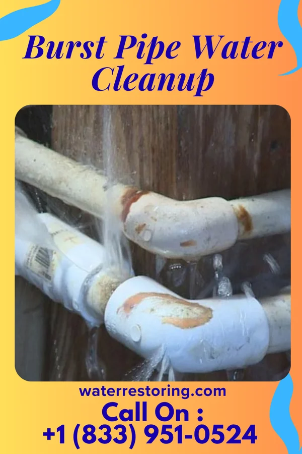 Burst Pipe Water Cleanup in Gary City, TX