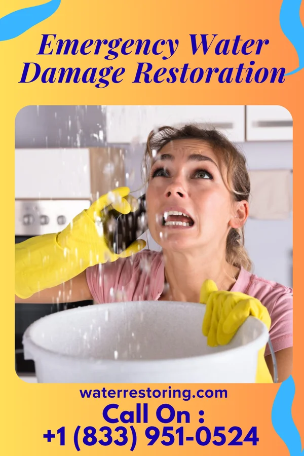Emergency Water Damage Restoration in Gary City, TX