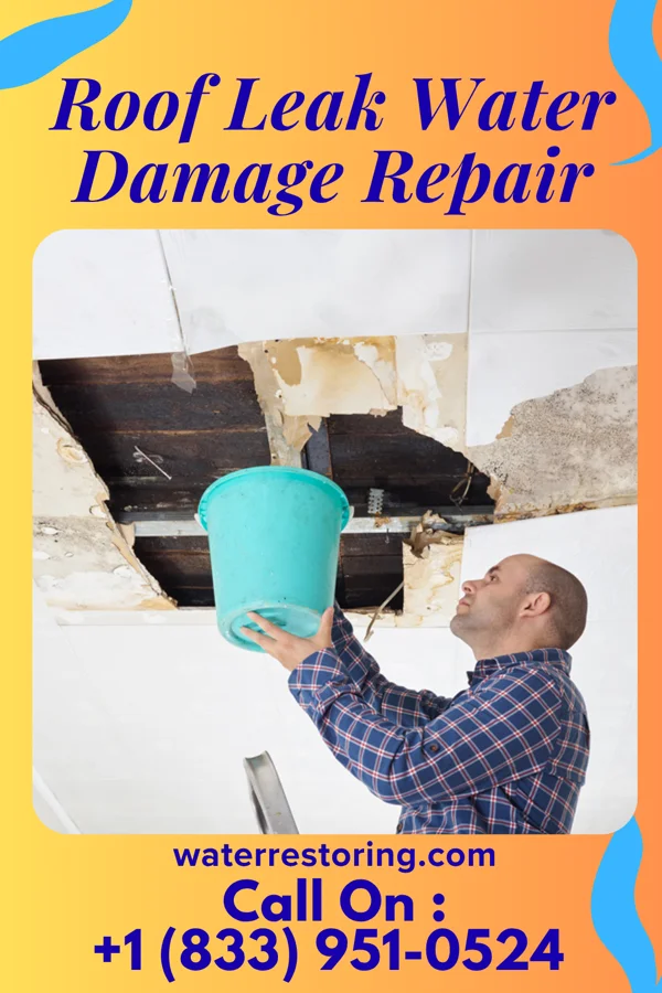 Roof Leak Water Damage Repair in Gary City, TX