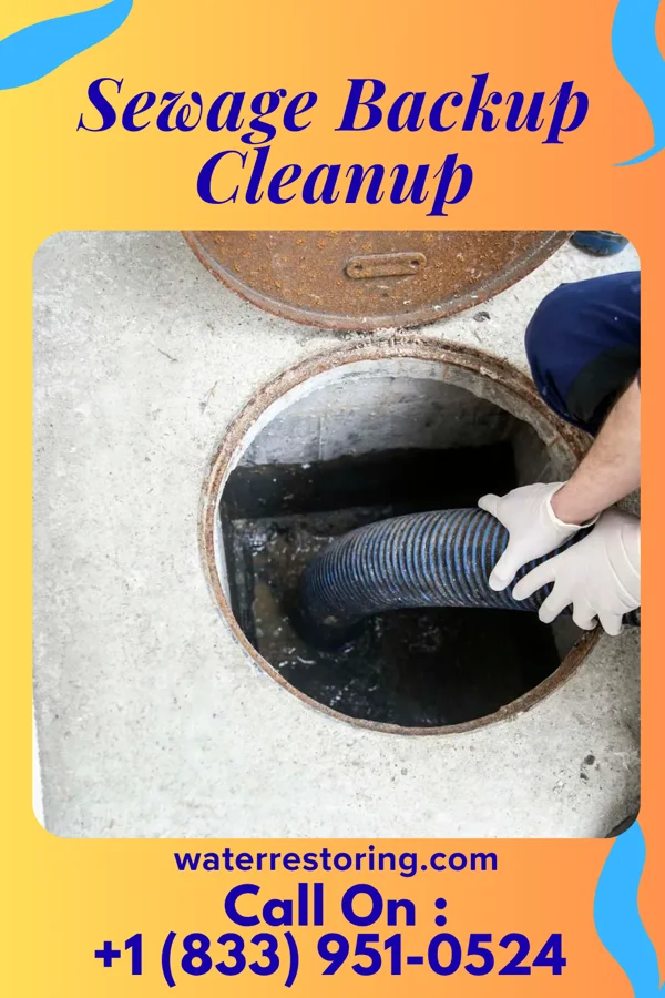 Sewage Backup Cleanup in Gary City, TX