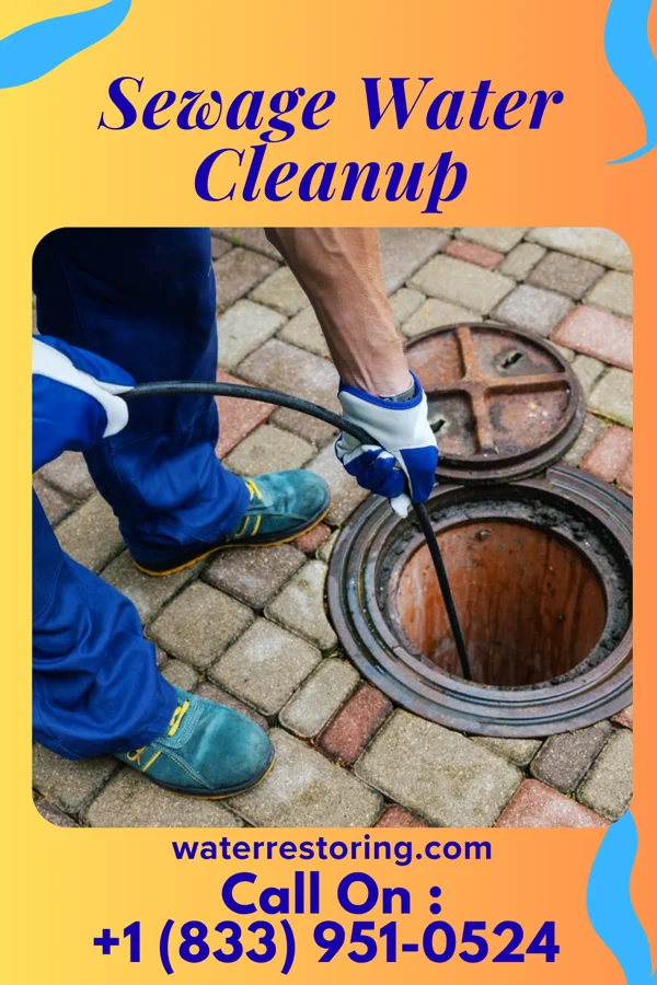 Sewage Water Cleanup in Gary City, TX